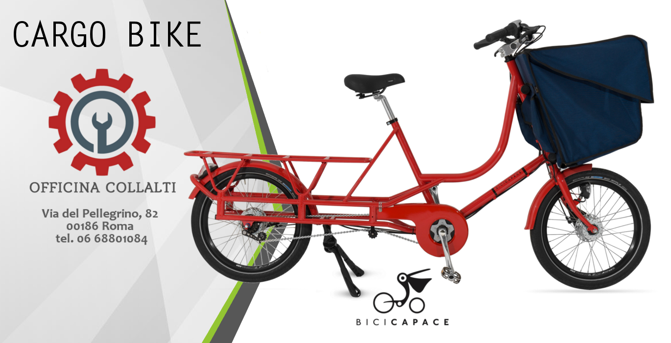 Bicicapace cargo bike 